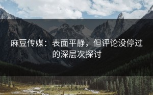 麻豆传媒：表面平静，但评论没停过的深层次探讨