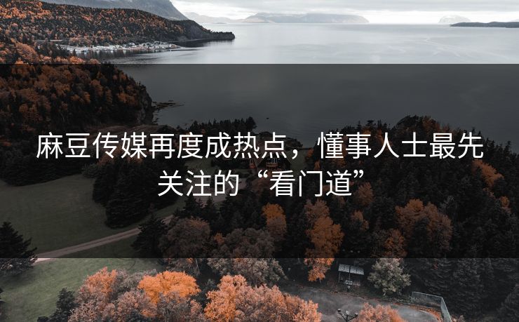 麻豆传媒再度成热点,懂事人士最先关注的“看门道” 麻豆传媒再度成热点,懂事人士最先关注的“看门道”
