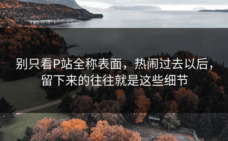 别只看P站全称表面,热闹过去以后,留下来的往往就是这些细节 别只看P站全称表面,热闹过去以后,留下来的往往就是这些细节
