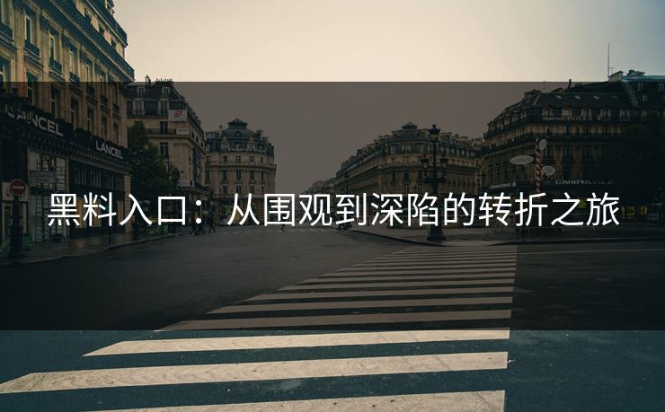 黑料入口:从围观到深陷的转折之旅 黑料入口:从围观到深陷的转折之旅